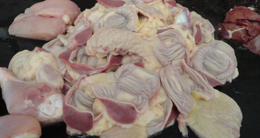 Dieta BARF para Pastor Alemán: pros, contras y cómo empezar
